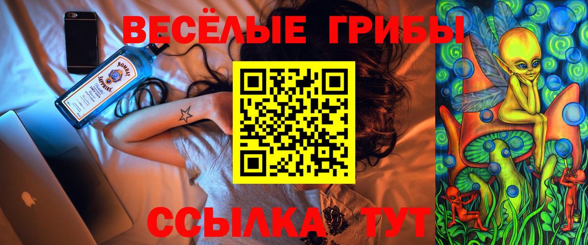 Шахты  Псилоцибиновые грибы Cubensis  Вход с VPN 