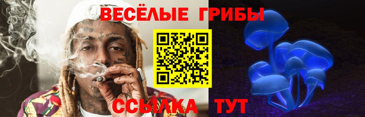 Галлюциногенные грибы ЛСД Шахты